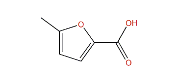 5-Methylfuran-2-carboxylic acid